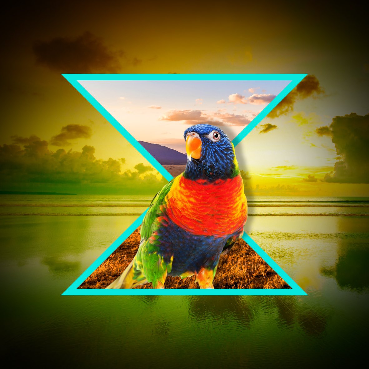 Create Onsight tweet media