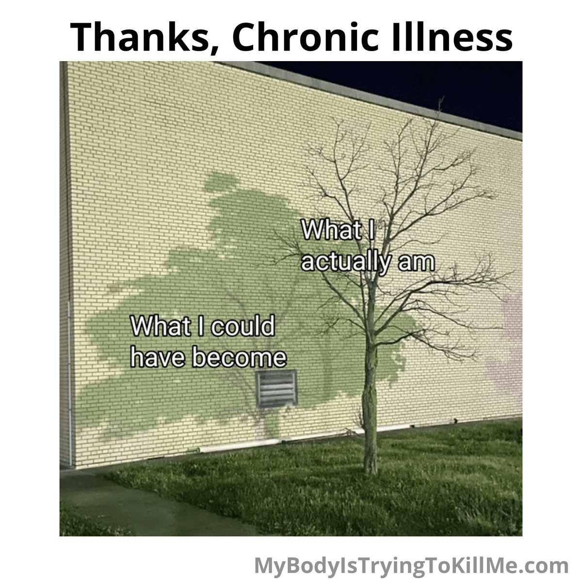 HumorChronic's tweet photo. #chronicillness #autoimmune #chronicillness #chronicillnesshumor #chronicillnessmemes #autoimmune #autoimmunememe #spooniememe #spooniehumor #fibromemes #fibromyalgia #spoonie #mecfs #longcovid #chronicillnessmemes https://t.co/EXfMd7IwoY