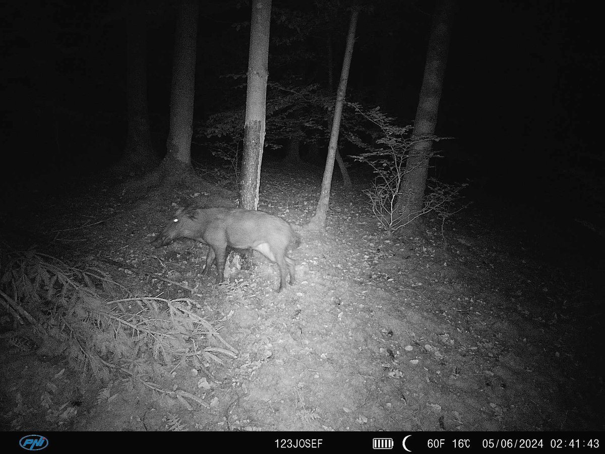 Ich bin da jemanden auf der Fährte 😎