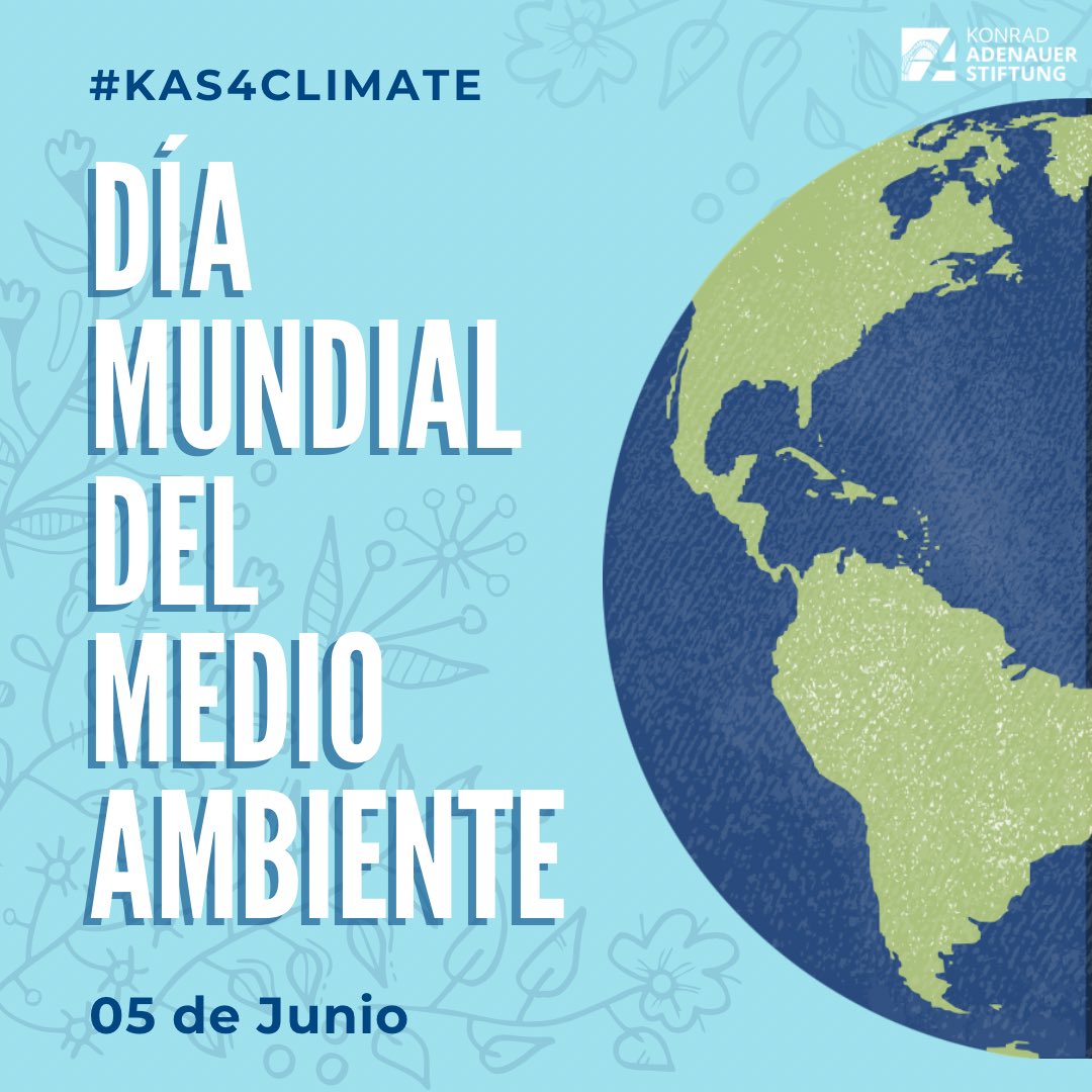 KAS ADELA tweet media