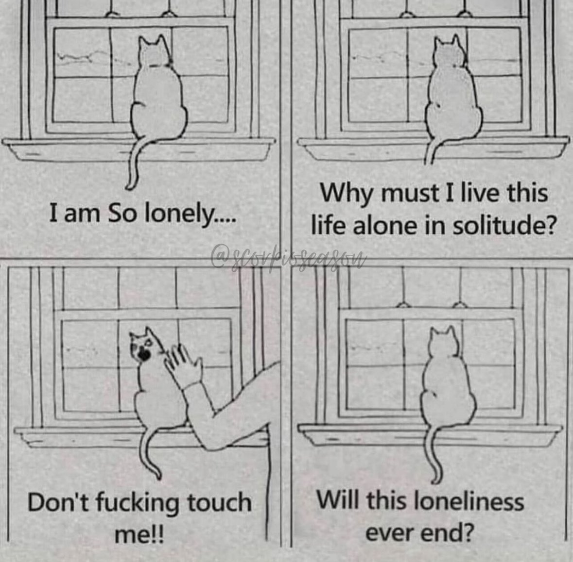 ScorpioSeason's tweet photo. Scorpios be like: https://t.co/NeFADyfgca