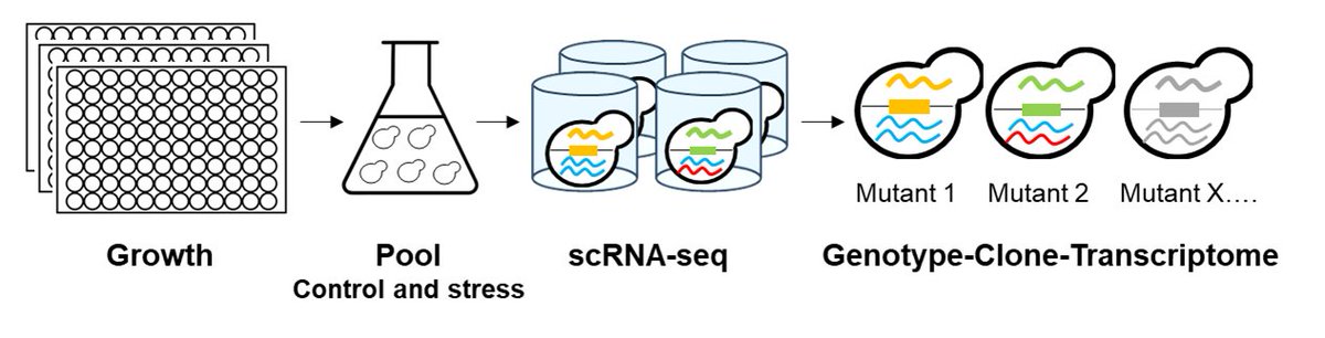Cell Signaling Lab tweet media