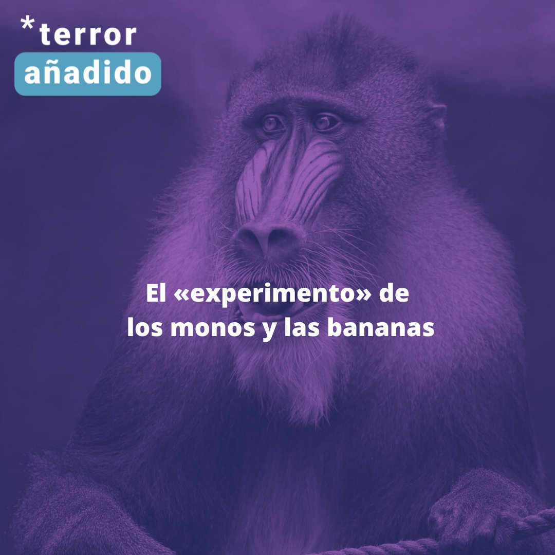 *️⃣ Hoy en <a href="/terroranadido/">*terror añadido</a> estrenamos formato (¡Píldoras de *terror añadido!) hablando del «experimento» de los monos y las bananas, la obediencia ciega a las normas y la presión de grupo. 

🎧 Como siempre, escúchanos en <a href="/ivoox/">iVoox</a> (go.ivoox.com/rf/129931765) o en <a href="/Spotify/">Spotify</a>.