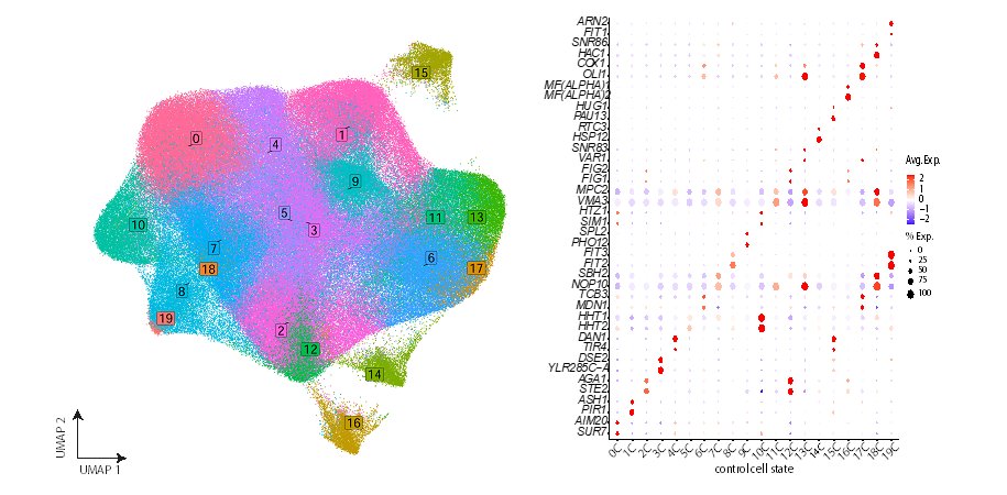 Cell Signaling Lab tweet media