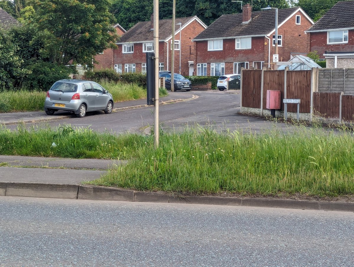 Leigh Bridge tweet media