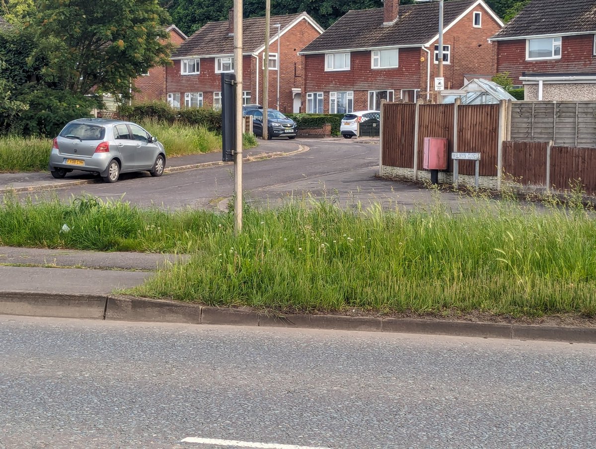 Leigh Bridge tweet media