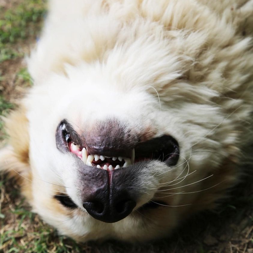 Spin Rescue tweet media