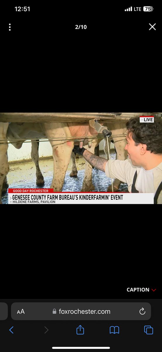 Spent the morning at Hildene Farms for their annual “Kinderfarmin” event that shows kids where their food comes from with hands on learning stations and educational tours from knowledgeable people from the farming community in western New York