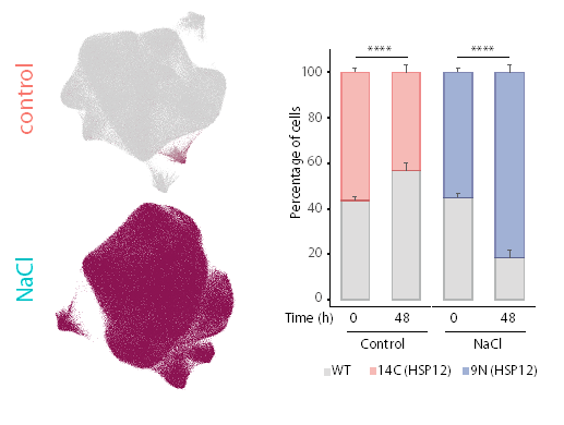 Cell Signaling Lab tweet media