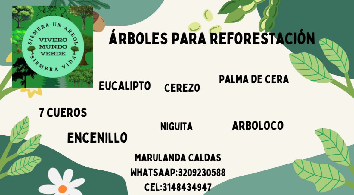 SUGERENCIA: algunas plantas para Cerca viva en tierra fría. Se reciben aportes e ideas. 

Agregen: "Amarrabollos", "Tuno", "7 Cueros" "Uñegato", "Uva camarona", "Encenillo". 

OJO: Vivero campesino clima frío, "Mundo Verde", de Moisés en Marulanda, Caldas.