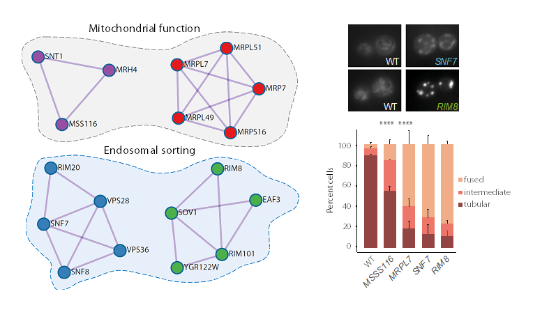 Cell Signaling Lab tweet media