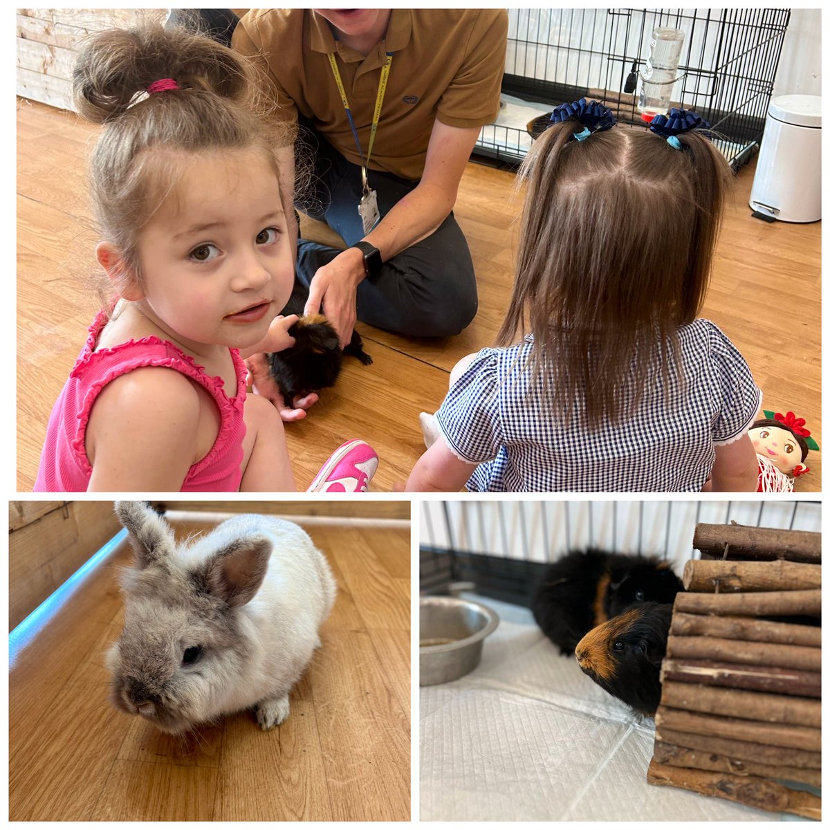 Hannah Rowe tweet media