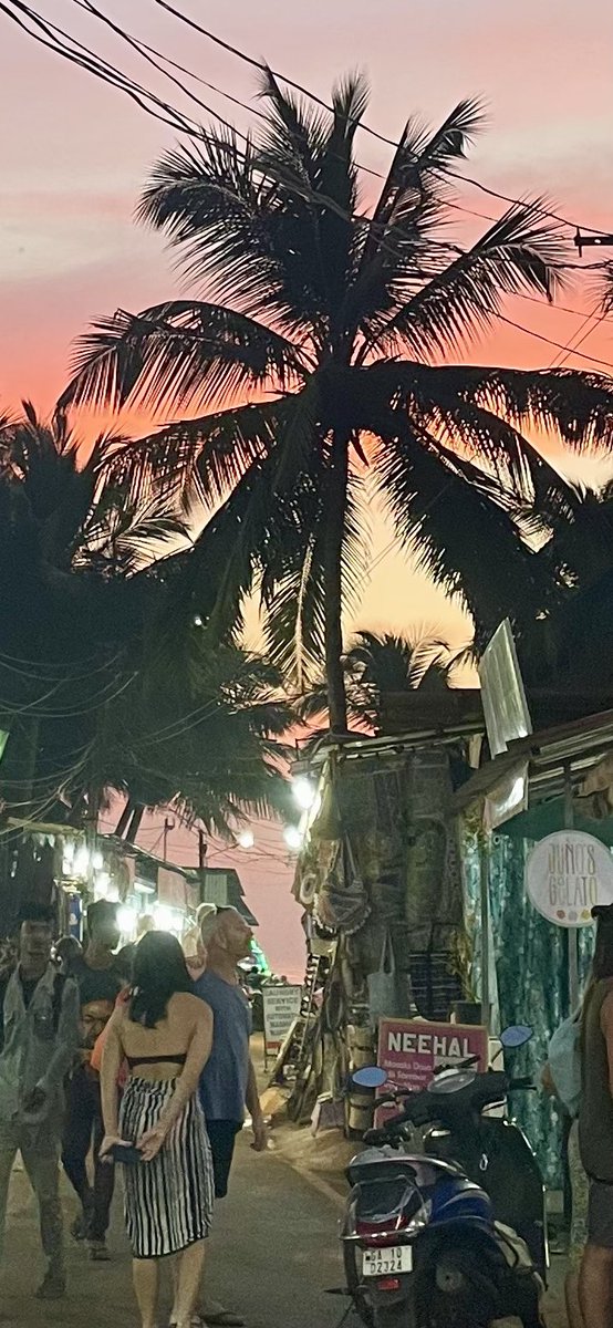GGbrez's tweet photo. Just a short stroll to the #beach at #patnem #southgoa #india for #sunset
#travel #amazingindia #coastaliving #canacona https://t.co/MMU62Gns5J