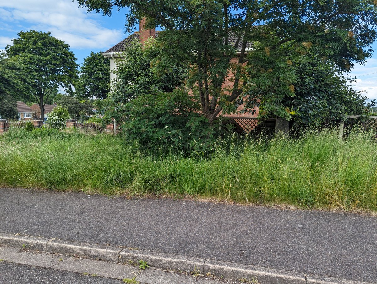 Leigh Bridge tweet media