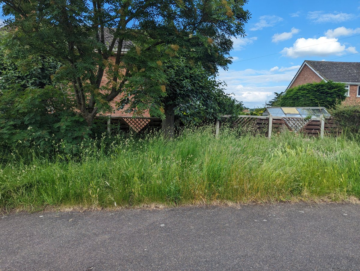 Leigh Bridge tweet media