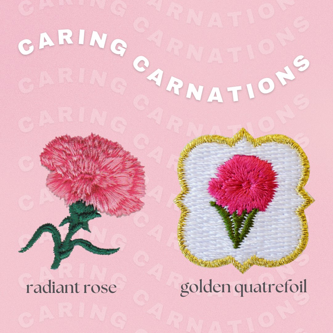 PhiMuFoundation's tweet photo. Purchase Caring Carnations, Sparkle Lanyards or a Convention Care Package to make sure you're Convention ready for Florida next month! https://t.co/oAUx5ezAg3 https://t.co/Fu97p8RXA6