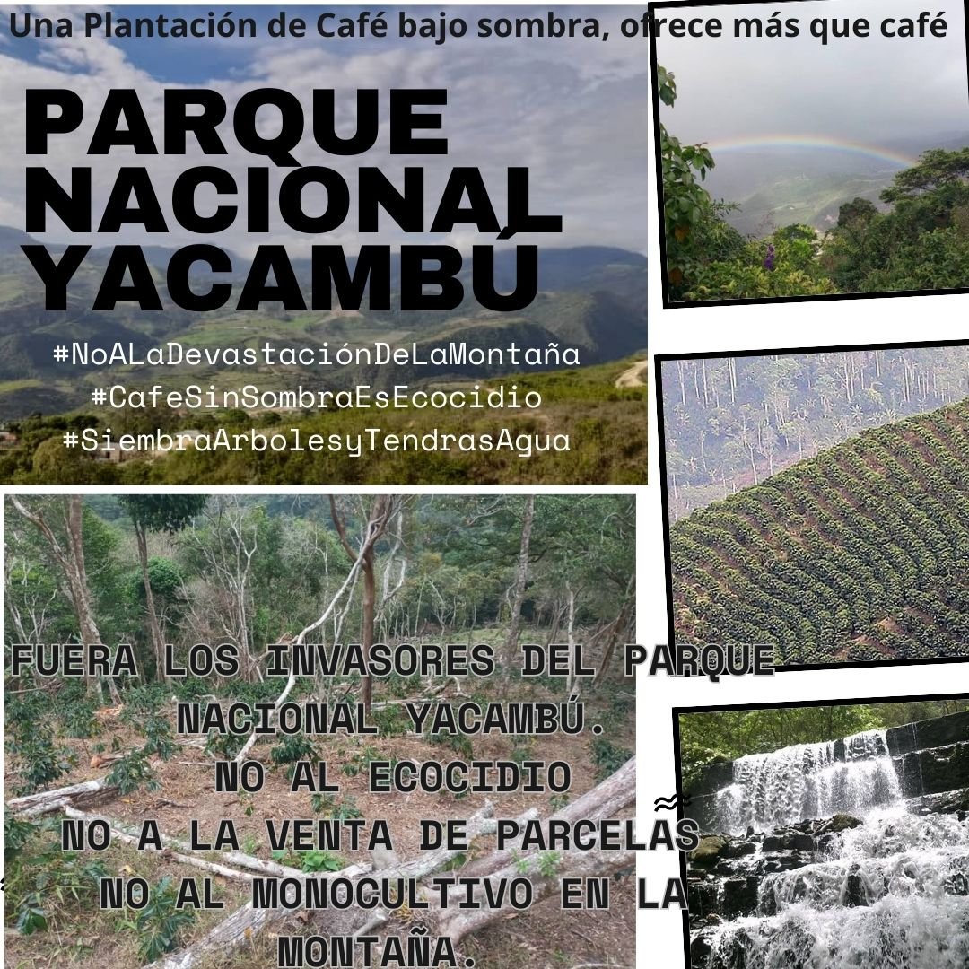 Alzehy's tweet photo. Hilo 
#5Jun #DíaDelMedioAmbiente #GeneraciónRestauración #NoALaDevastaciónDeLaMontaña #CaféSinSombraEsEcocidio

El Pulmón de Lara se queda sin oxígeno con que pedir auxilio 

Fuente: https://t.co/d9kC8KD9UU https://t.co/chVQSusOkF