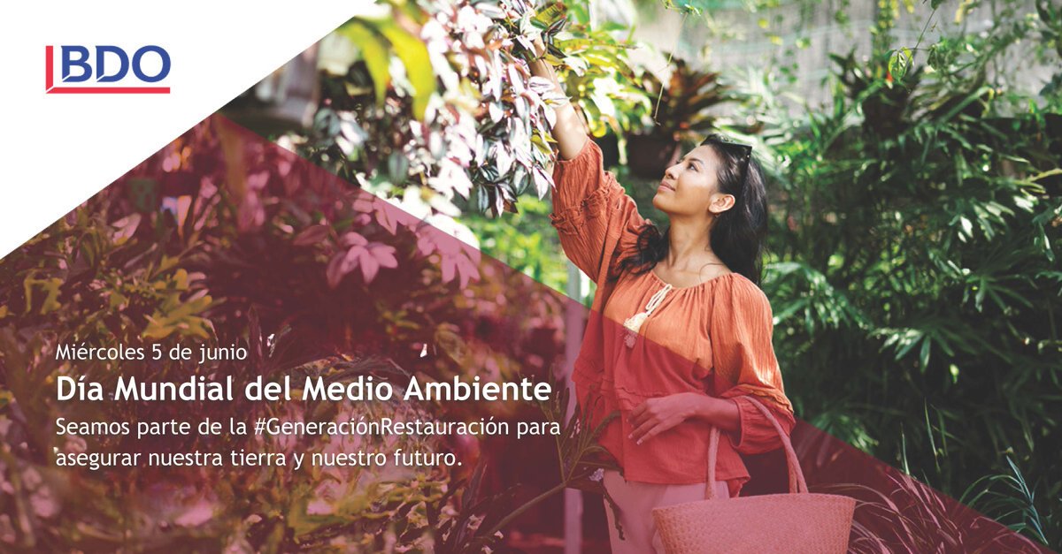 BDOGuate's tweet photo. 🍃 ¡Feliz Día del Medio Ambiente! 🍃

Seamos protagonistas de la #GeneraciónRestauración para proteger nuestra tierra y nuestro futuro ✨

Juntos, podemos construir un planeta sostenible 🌎

#MedioAmbiente #Sostenibilidad #CuidadoDelPlaneta   #diadelmedioambiente #BDO https://t.co/HsrH1vyQSy