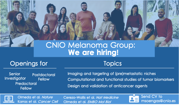 Marisol Soengas (@msmelanoma) on Twitter photo Senior investigators, predoc and postdocs: interested in discovering tumor biomarkers, visualizing cancer progression in vivo and developing new treatments? We have several openings in my lab at <a href="/CNIOStopCancer/">CNIO Stop Cancer</a>!
Cool projects funded by <a href="/ERC_Research/">European Research Council (ERC)</a>, <a href="/FundlaCaixa/">Fundación ”la Caixa”</a> , <a href="/CienciaGob/">Ministerio de Ciencia, Innovación y Universidades</a>. Senior investigators, predoc and postdocs: interested in discovering tumor biomarkers, visualizing cancer progression in vivo and developing new treatments? We have several openings in my lab at <a href="/CNIOStopCancer/">CNIO Stop Cancer</a>!
Cool projects funded by <a href="/ERC_Research/">European Research Council (ERC)</a>, <a href="/FundlaCaixa/">Fundación ”la Caixa”</a> , <a href="/CienciaGob/">Ministerio de Ciencia, Innovación y Universidades</a>.