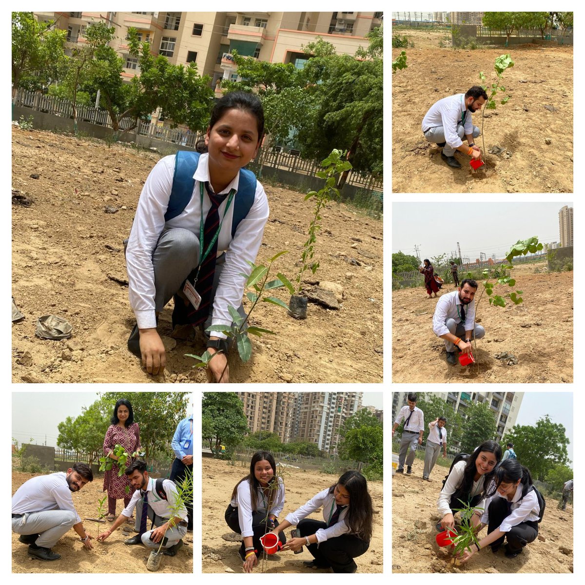 vedikafn's tweet photo. #एक_पेड़_माँ_के_नाम #विश्व_पर्यावरण_दिवस_2024 #WorldEnvironmentDay‌ 
वेदिका फाउंडेशन द्वारा UPSIDA Site C स्थित पार्क में वृक्षारोपण। @UPSIDA @mayurias @AsmitaLalIAS @rmsurajpur1 @dmgbnagar @tejpalnagarMLA @dr_maheshsharma https://t.co/rquTO4RRfB