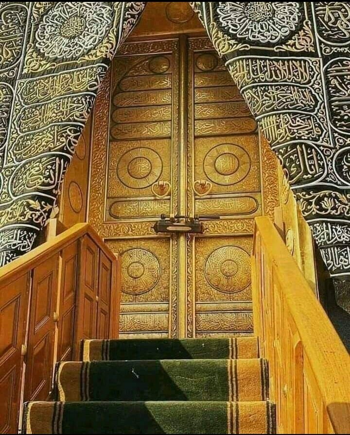 Ali Imam (@aliimam31411417) on Twitter photo 