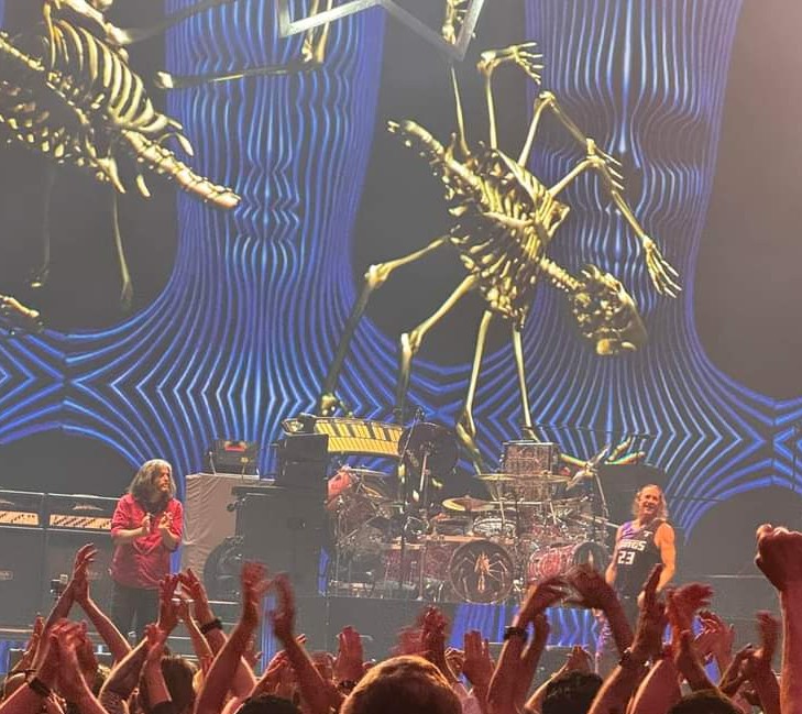 davilake's tweet photo. 240601 @ Tool Manchester https://t.co/brTReHTP5k