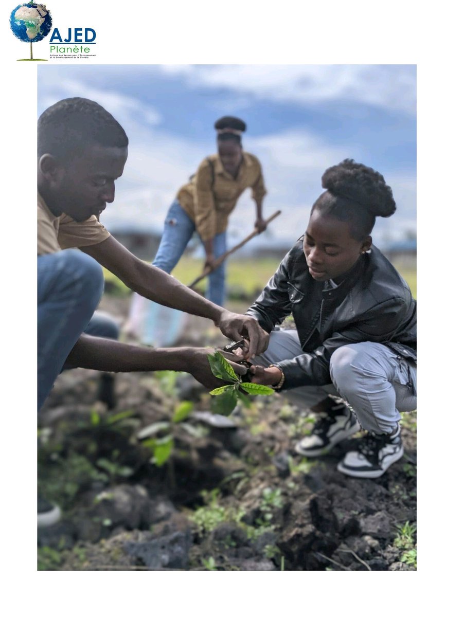 AJEDRDC's tweet photo. La restauration des terres n’est pas seulement une responsabilité environnementale, c’est une opportunité de renouveau,de communauté et d’espoir.En cette Journée internationale de l’environnement, engageons-nous à être les gardiens de notre terre. Pour AJED, chaque action compte. https://t.co/Yc0pO466x8