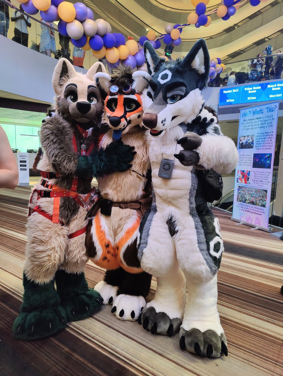 HexHusky's tweet photo. @FurryWeekend was a blast. I found a couple foxes @morokai @ArchieFox_ 

✂️ @TwinkyArts https://t.co/Y9oKJp3V43
