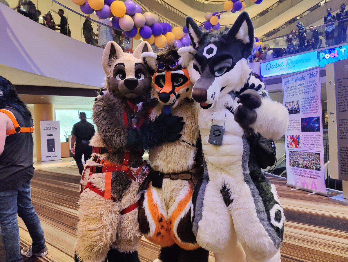 HexHusky's tweet photo. @FurryWeekend was a blast. I found a couple foxes @morokai @ArchieFox_ 

✂️ @TwinkyArts https://t.co/Y9oKJp3V43