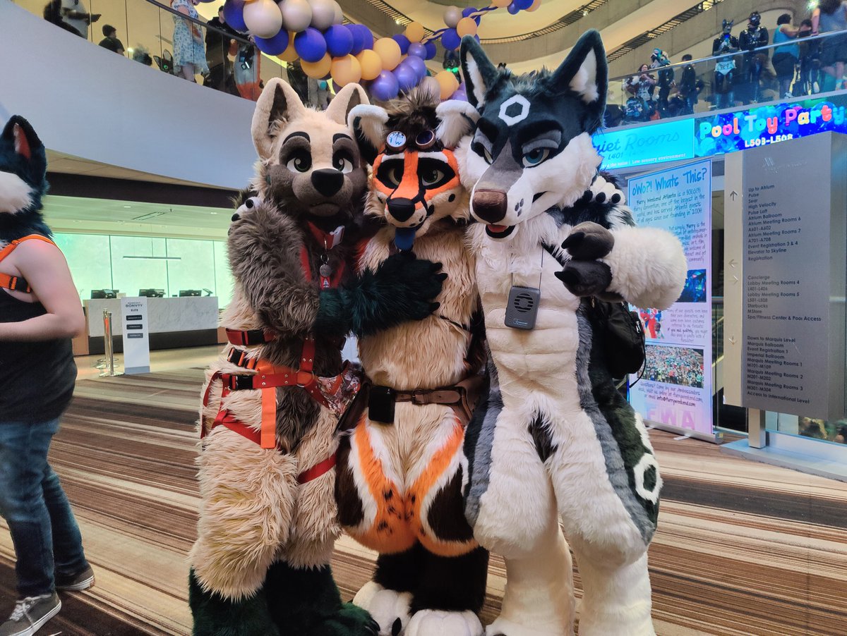 HexHusky's tweet photo. @FurryWeekend was a blast. I found a couple foxes @morokai @ArchieFox_ 

✂️ @TwinkyArts https://t.co/Y9oKJp3V43