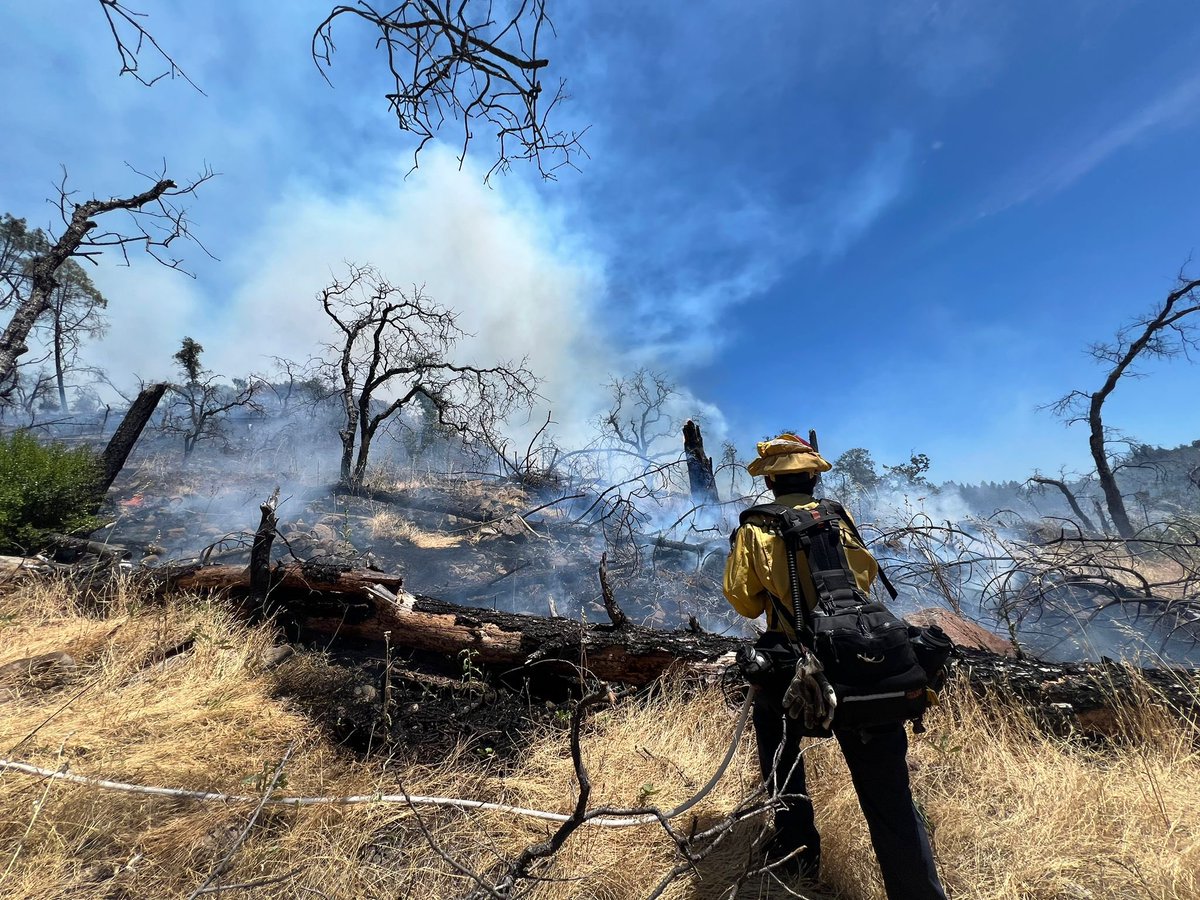 CAL FIRE LNU tweet media