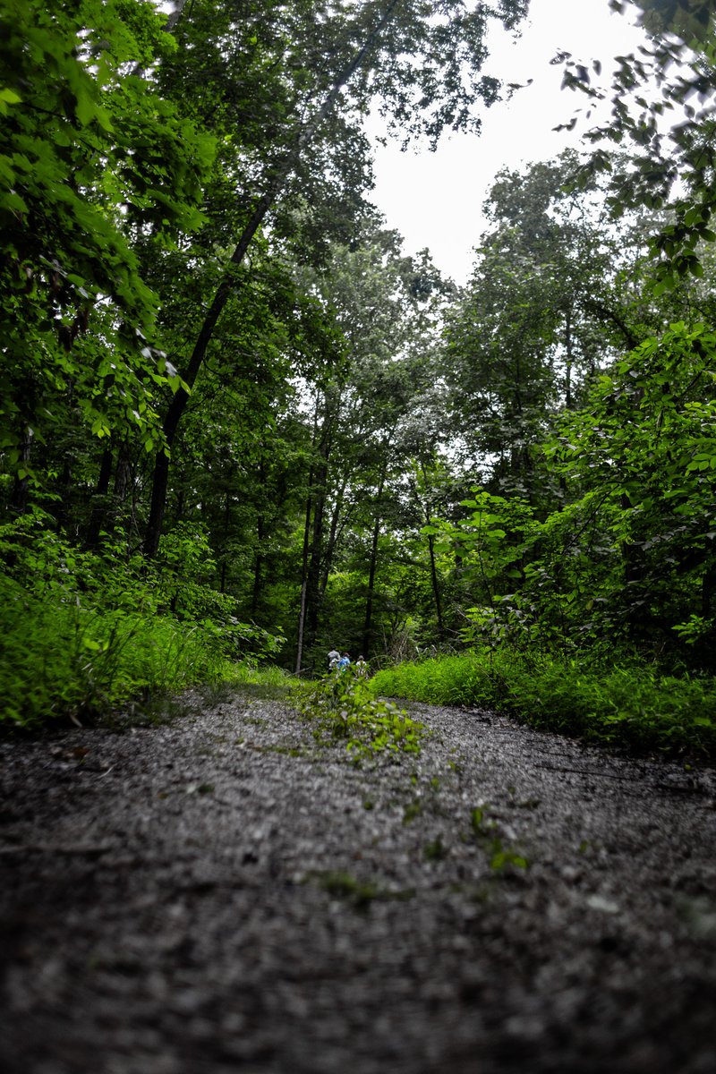 campyi's tweet image. The trail from camp crafts is as beautiful as ever, and campers get to walk it every day. This is camp magic in the making! ✨🌳

#CampMagic #CampVibes #SummerCamp #NaturalBeauty #Nature #SummerFun