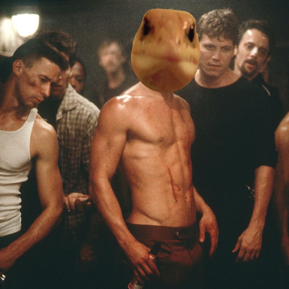 Leonard The Lizard tweet media