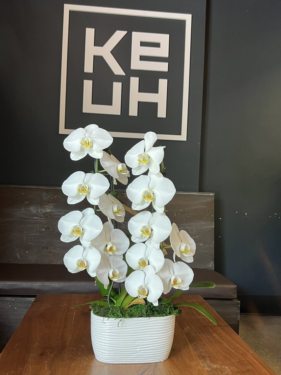 BetweenFlowersD's tweet photo. 🌸 Transform Your Space with Our Stunning Orchid Arrangements! 🌸

https://t.co/FYriussOtl

#Orchids #FlowerArrangements #InteriorDesign #KeuhRestaurant #Weston #FloralDesign #EleganceInBloom #OrchidLove #TransformYourSpace https://t.co/SDOC0R82Zx