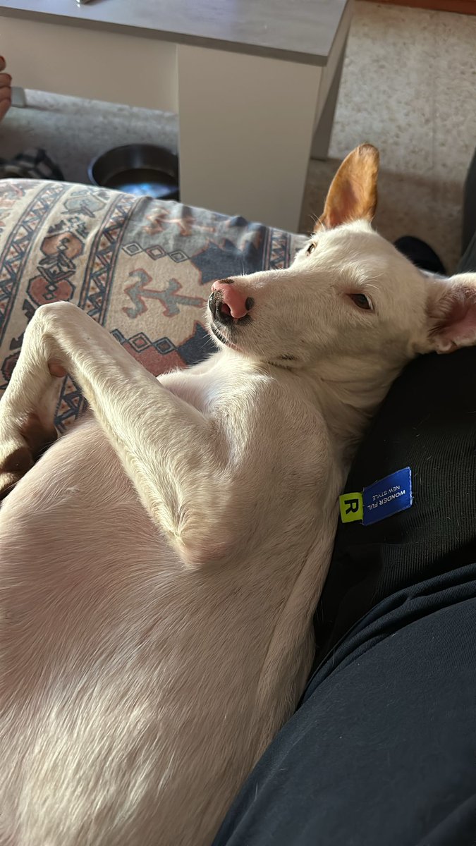 Marguerite con su nueva familia 😍