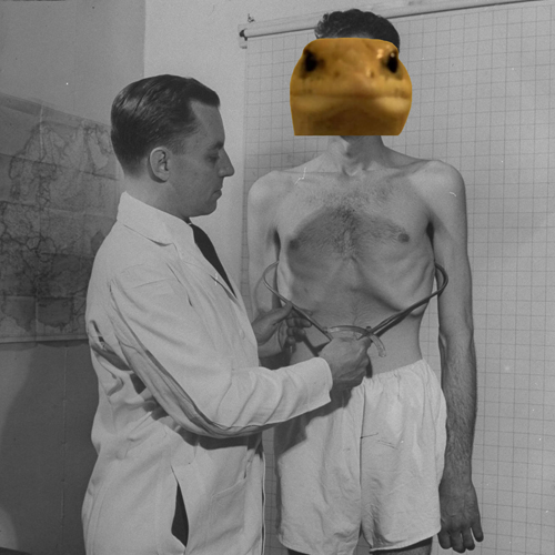 Leonard The Lizard tweet media