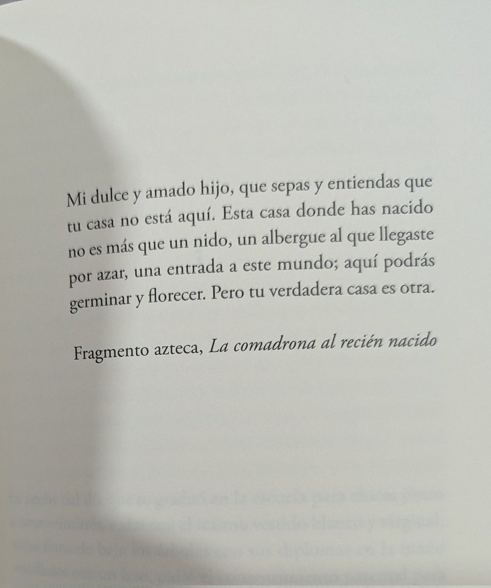 Brenda Navarro tweet media