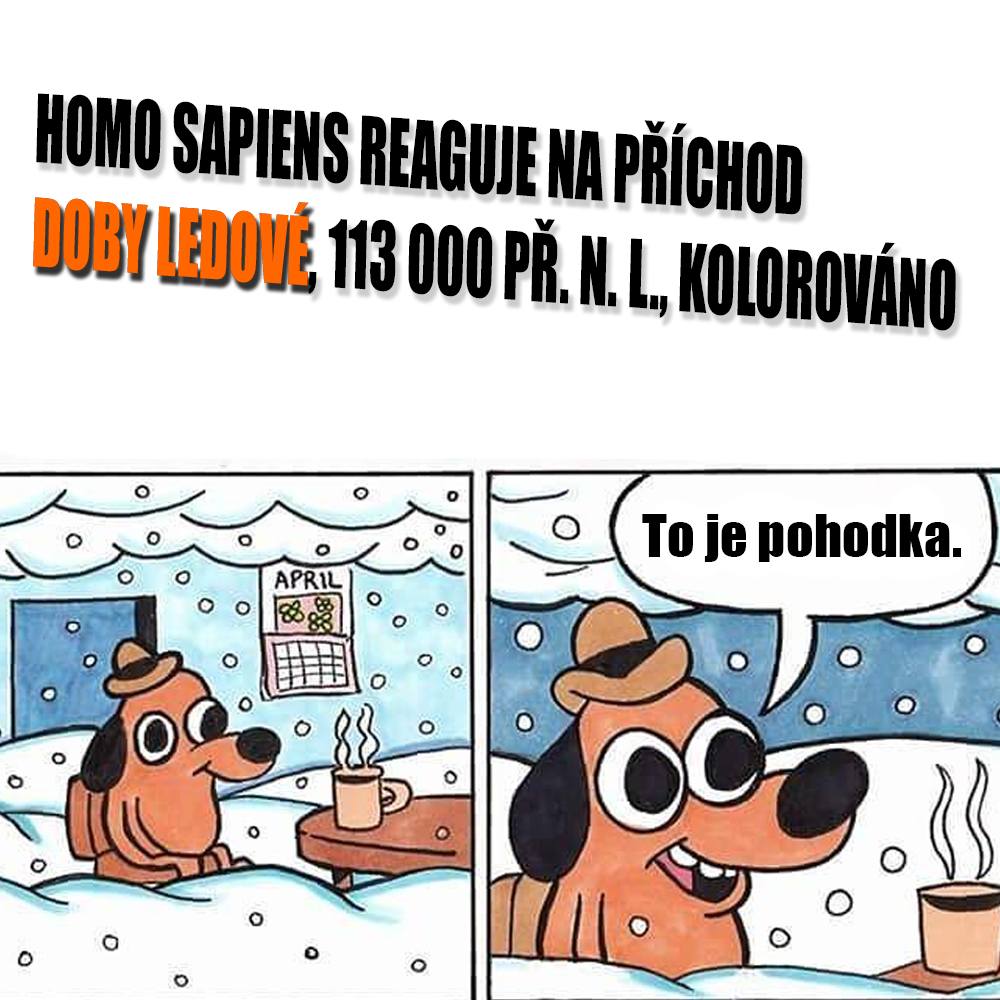 Vedator5's tweet photo. 🎣 Rybolovem vstříc postapokalypse! Lidé (na Aljašce) přežili mladší dryas díky rybaření...
Více na ► https://t.co/WbEJvX1lIx 📺
#veda #science #poznani #objev #news #fakta #facts #historie #history #dejiny #dobaledova #iceage https://t.co/s6wCo0vFFP