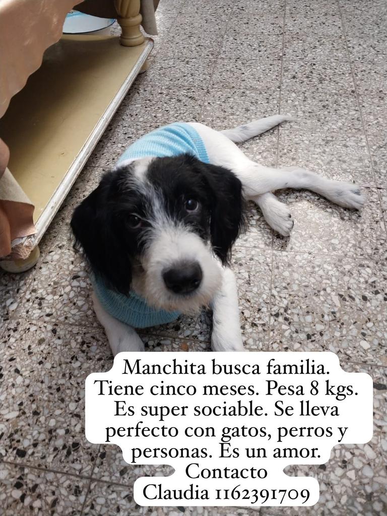 patripeyrou's tweet photo. Difundimos https://t.co/0rEUe9oFrI