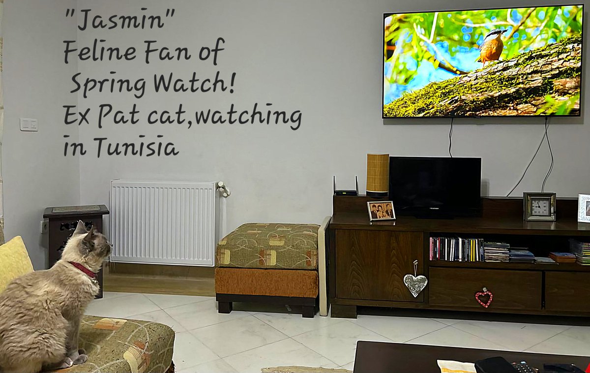 CouncillorCroft - The Man, The Myth, the Legend... tweet media