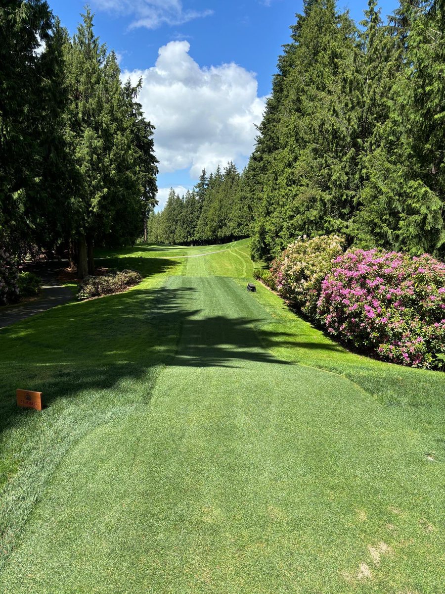golf course enthusiast tweet media