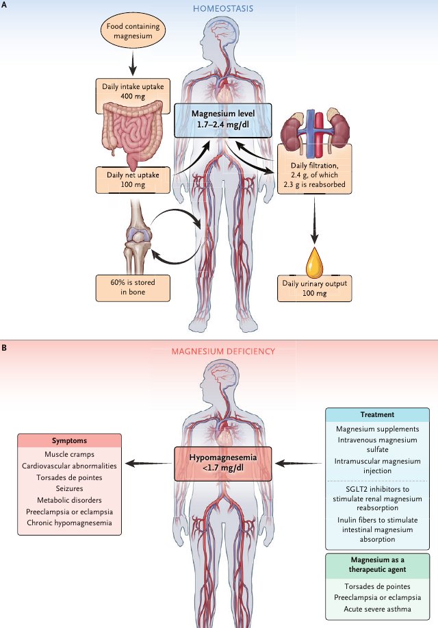 MHcsba's tweet photo. New England Journal Of Medicine 2024: Trastornos del magnesio
#MedEd #MedTwitter #MedX
DOI: 10.1056/NEJMra1510603
https://t.co/cL7saZNZnJ https://t.co/m0VetnRMVF