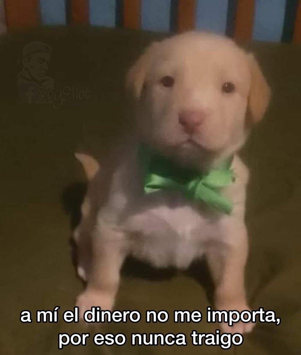 ElJeringasLoko's tweet photo. soy ese https://t.co/b8fltSpf3n