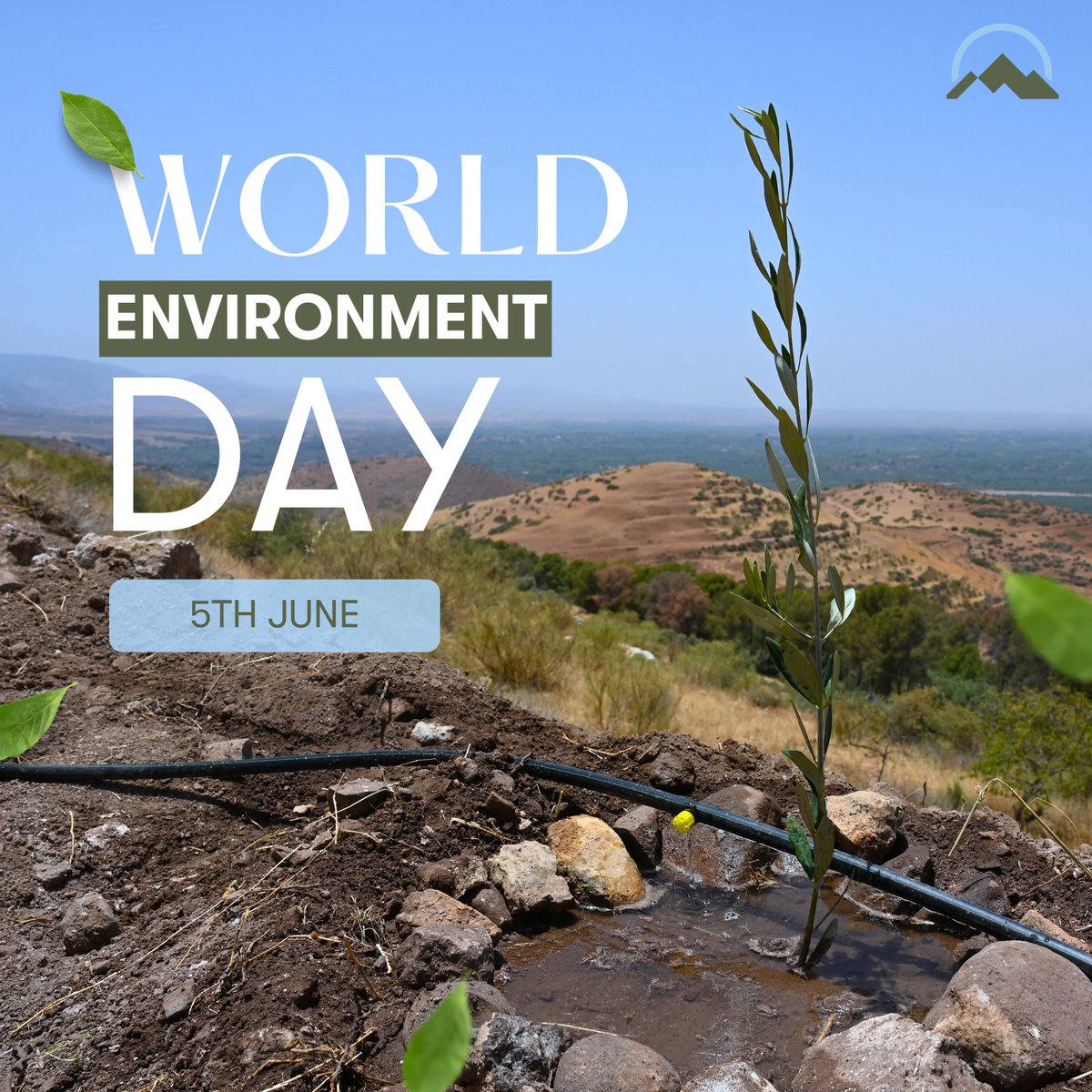 AtlasHigh's tweet photo. Happy #WorldEnvironmentDay! 

This year's about #GenerationRestoration, healing our planet &amp; fighting desertification. 

Thank you @StrateusGroup &amp; @LGE_Global for your contribution to our celebration of this day.

#OurLandOurFuture #BeatDesertification https://t.co/nkS6KMg88e