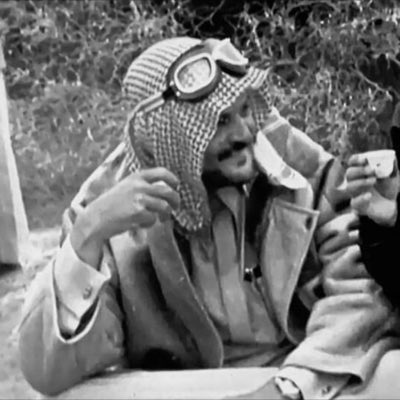 علوش . . tweet media