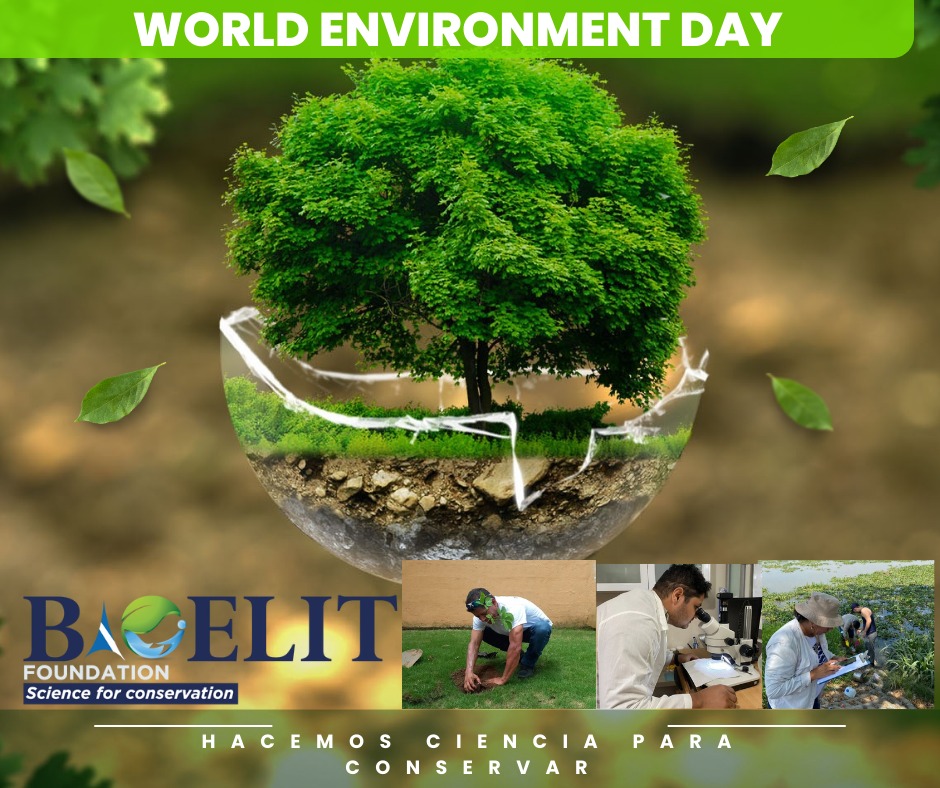 FundBioelit's tweet photo. Desde la Fundación BioELIT, sus miembros, hacemos votos por el fortalecimiento de la concienciación ambiental y la protección del planeta. Solamente tenemos una casa, #LaTierra 

#DiaDelAmbiente #5deJunio #Ambiente @Ambiente_Ec #Ecuador https://t.co/2eiQiLxf1o
