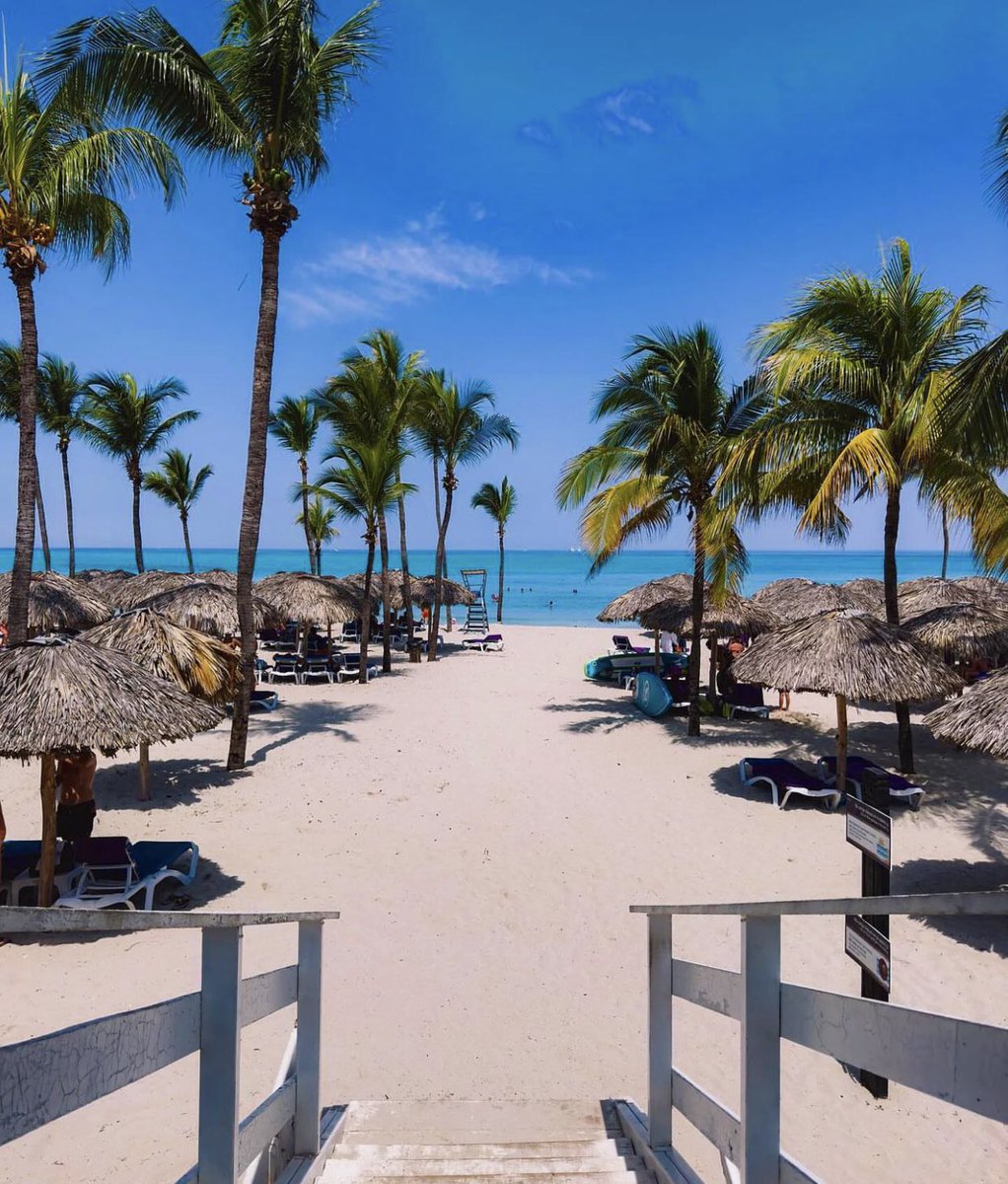 _varadero's tweet photo. 🌍 Hoy celebramos el Día Mundial del Medio Ambiente, un recordatorio de la importancia de cuidar y proteger nuestro planeta. 

Juntos podemos crear un impacto positivo en nuestro entorno. ¡Cuidemos nuestras playas 🏖🏝y contribuyamos a un mundo más limpio y sostenible! 🙌🙌🙌 https://t.co/L94fqAxocN