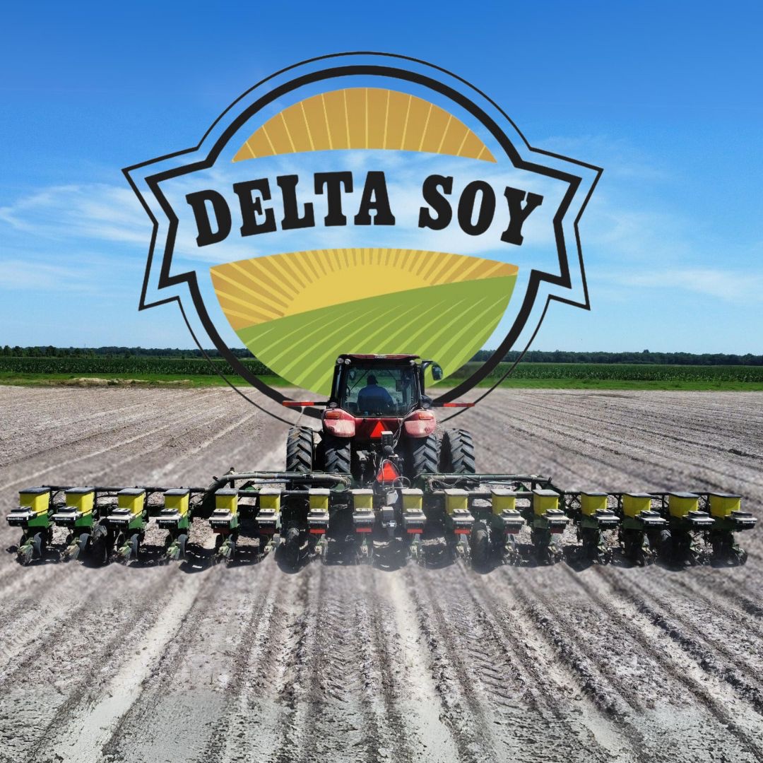 DeltaSoy's tweet image. At Delta Soy, we're a family of farmers, and we get it. We understand the unique challenges and needs of farming because we live it every day. Trust us to support your fields as if they were our own. 🌾👨‍🌾👩‍🌾 

#FamilyFarmers #WeUnderstand #DeltaSoy