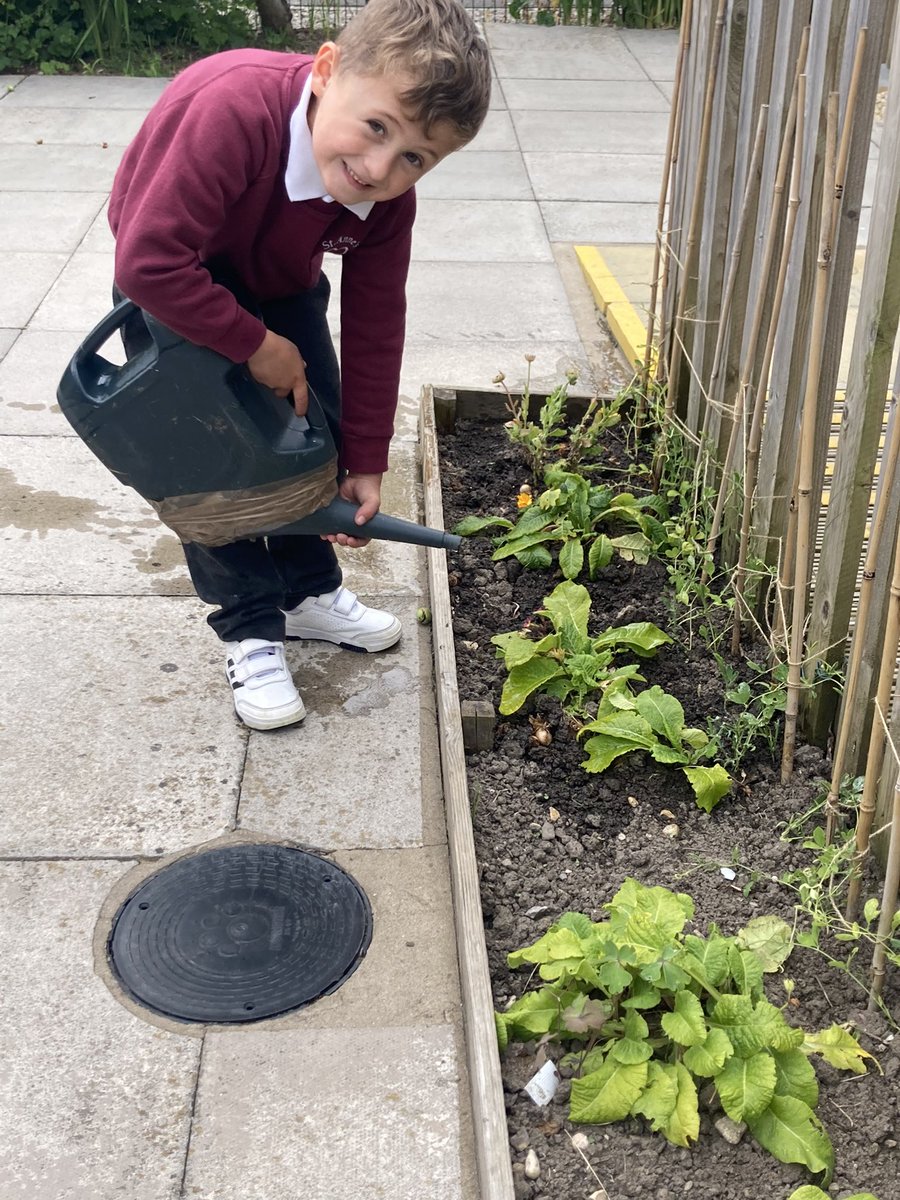Our school is looking beautiful again.  A big thank you to everyone involved, including our lovely caretaker Paul and my watering team 
#wearestannes
<a href="/StAnnes_EHS/">Emma Hardy Smith @ St.Anne’s</a> 
<a href="/LinHodges1/">Lin Hodges</a>