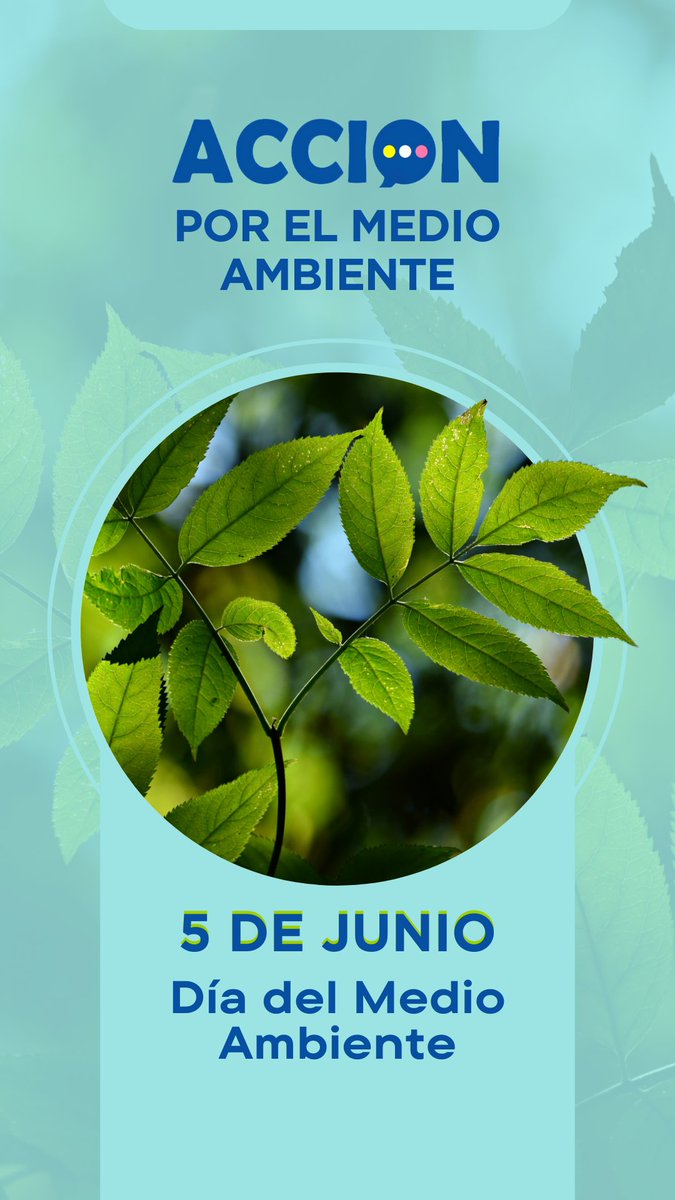 ACCION_Ecuador's tweet photo. #DíaDelMedioAmbiente https://t.co/K5CPFAmk8F